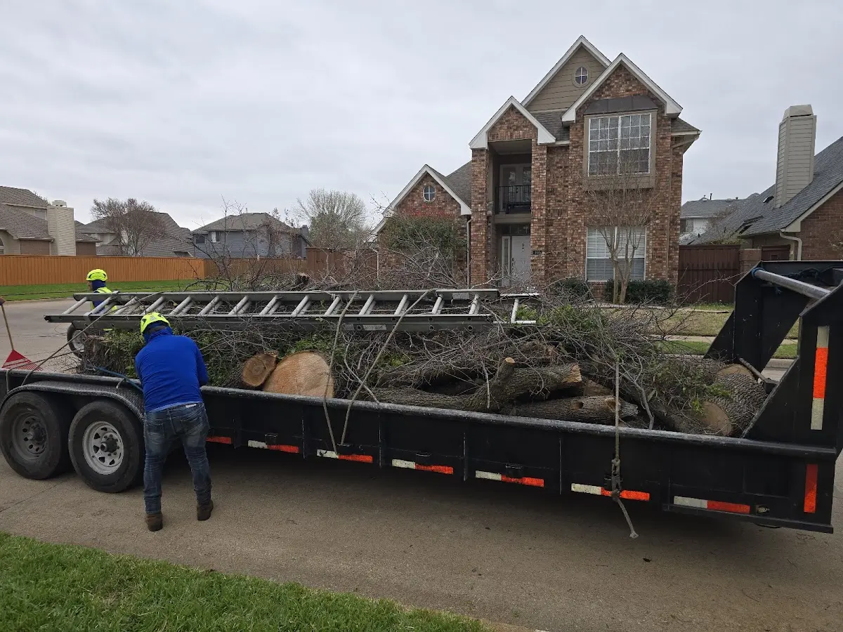 Expert Tree Removal with proper safety equipment in Harrisburg